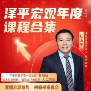 2980泽平宏观年度课程合集
